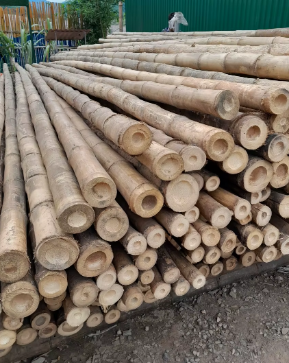 Dekorative Riesenbambusstangen – Architektonische Gesta